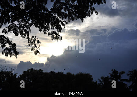 Kerala, eine schöne Landschaft, Wolken im klaren blauen Himmel, Camping wo die Wolken schlafen (Photo Copyright © by Saji Maramon) Stockfoto