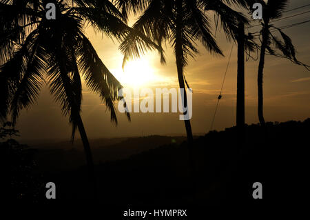 Kerala, wunderschöner Sonnenuntergang, Kokosnussbaum, Kerala hat viel zu bieten, als Sie sich je vorstellen können. (Foto Copyright © by Saji Maramon) Stockfoto