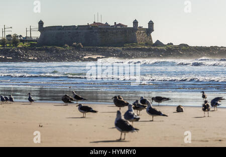 Fort Sao Francisco Queijo (allgemein bekannt als Burg von Käse) in der Stadt Porto, Portugal. Blick vom Strand der Nevogilde Ortsteil beach Stockfoto