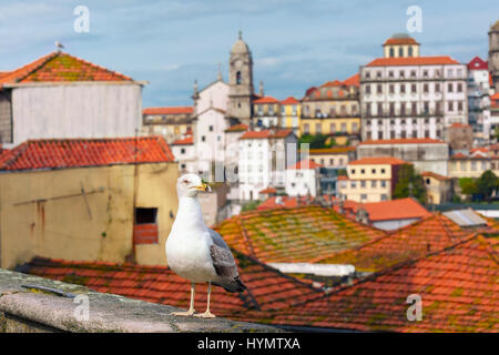 Möwe und Dächer der Altstadt, Lissabon, Portugal Stockfoto