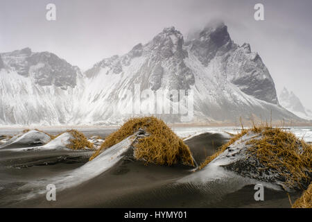 Schwarze Lavastrand mit frischem Schnee, Mount Vestrahorn, Stokknes, Ost-Region, Island Stockfoto