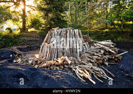 Holzkohle Haufen mit Protokollen, Walpersdorf, Siegerland, NRW, Deutschland Stockfoto