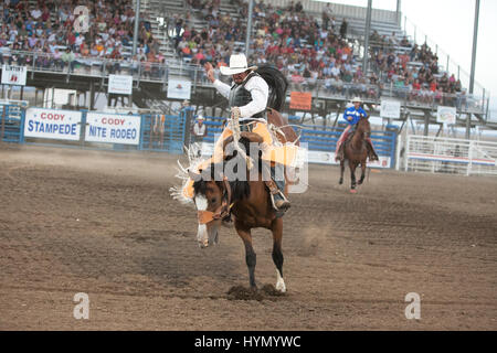 Ein Cowboy reitet auf einem Pferd während der Sattel bucking Bronco Ereignis beim Cody Stampede Rodeo. Stockfoto