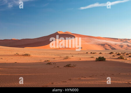 Sanddünen in der Wüste Namib im Morgengrauen, Roadtrip in der wunderschönen Namib Naukluft National Park, Reiseziel in Namibia, Afrika. Morgenlicht, Stockfoto