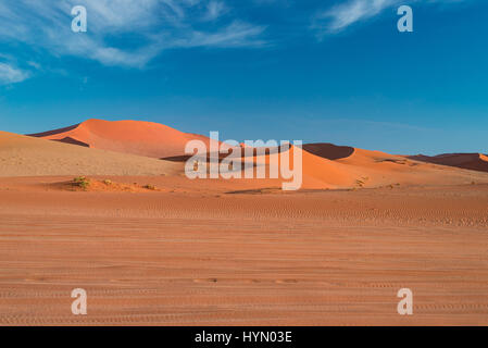 Sanddünen in der Wüste Namib im Morgengrauen, Roadtrip in der wunderschönen Namib Naukluft National Park, Reiseziel in Namibia, Afrika. Morgenlicht, Stockfoto