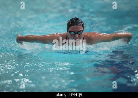 St. Petersburg, Russland, 16. Dezember 2016 internationale schwimmen Wettbewerb Vladimir Salnikow Cup Wettbewerb Stil der Schmetterling Frauen her schwimmen Stockfoto