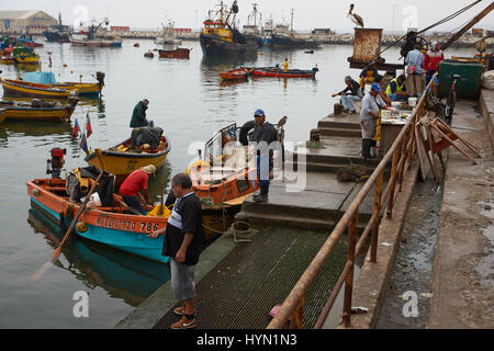 Fischer den Fang anlanden und Zubereitung von Fisch zum Verkauf im Fischerhafen von Arica im Norden Chiles Stockfoto