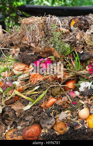 Gemischte Küche und organischen Gartenabfällen zeigt in einer geöffneten Kompost-silo Stockfoto