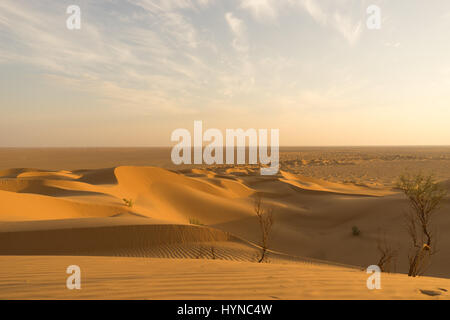 Spuren in Rub al-Khali Stockfoto