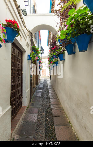 Calleja de Las Flores in Córdoba, Spanien berühmten Straße mit hängenden Blüten Stockfoto