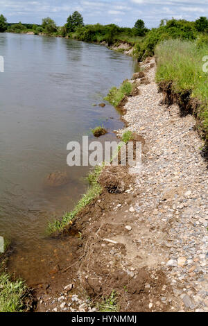 Erodierte Ufer am Fluss Allier, Frankreich Stockfoto