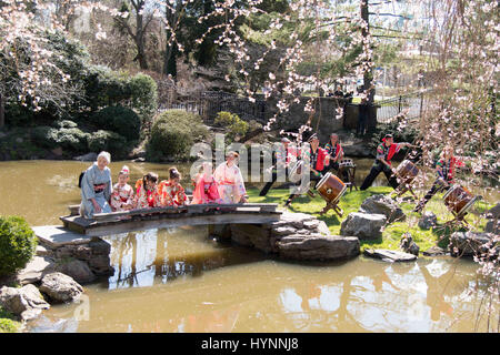 Norristown, Pennsylvania, USA. 5. April 2017. Mitglieder der Japan America Society of Greater Philadelphia, auf eine Gartenbrücke als die Taiko-Trommler ausführen bei Subaru Cherry Blossom Festival Presser. Die Presser fand auf der Shofuso japanisches Haus mit Garten im historischen Fairmount Park in Philadelphia Pa Credit: Ricky Fitchett/ZUMA Draht/Alamy Live News Stockfoto