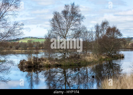 Cors Caron National Nature Reserve in der Nähe von tregaron in Mid Wales. Die Website besteht aus drei Hochmoore aus tiefen Schichten von Torf, die genommen haben rund 12.000 Jahre Form gebaut. Credit: Ian Jones/Alamy leben Nachrichten Stockfoto