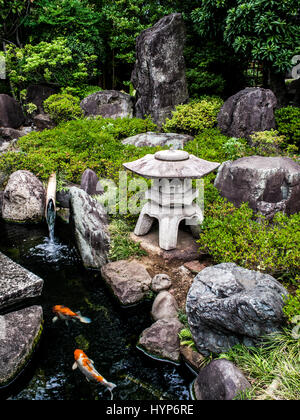 Ishidoro Steinlaterne und gold von Kois im japanischen Garten, Chokoku-Ji Tempel, Azabu, Tokio, Japan Stockfoto