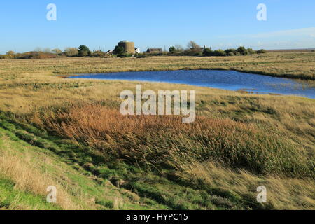 Pools von Wasser zwischen Kies Strand und Flut Verteidigung Wand, Shingle Street, Suffolk, England, UK Stockfoto