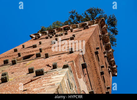 LUCCA Italien - ca. Mai 2015: Blick auf die Guinigi-Turm in der ummauerten Stadt Lucca, ein beliebtes Touristenziel in der Toskana. Stockfoto