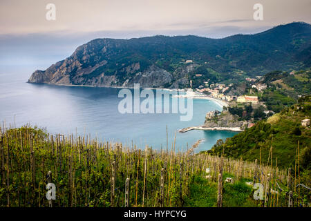 MONTEROSSO AL MARE, Italien - ca. Mai 2015: Weinberge rund um Monterosso al Mare in Cinque Terre, Italien. Stockfoto