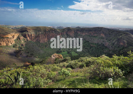 Gran Canaria vulkanischen Krater Caldera de Bandama Stockfoto