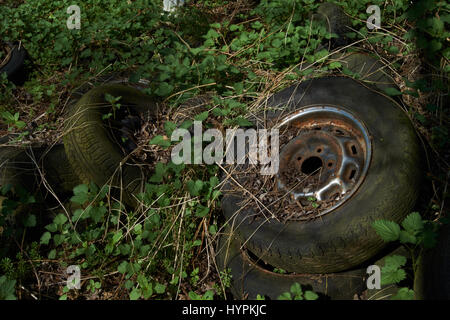 Alte Reifen in Hecke entsorgt. UK Stockfoto