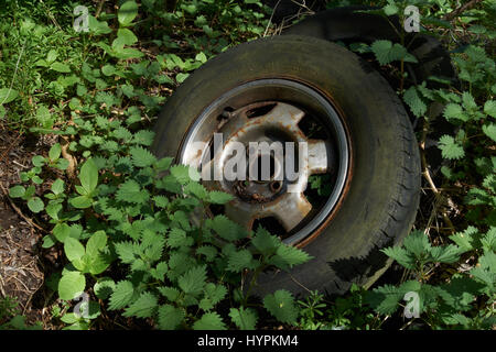 Alte Reifen in Hecke entsorgt. UK Stockfoto