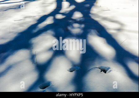 Bäume schaffen abstrakte Schatten Muster auf frischem Schnee & Fußabdruck Spuren Stockfoto