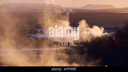 Geysir Hot Spring Area (Strokkur) in den Golden Circle in isländischen Geothermie Hotspot Tüllen Wasser 30 Meter (100 ft) in der Luft alle paar Minuten Stockfoto