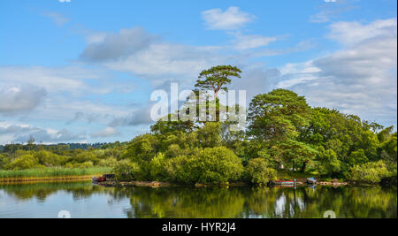 Lake Leane, Killarney National Park, County Kerry, Irland Stockfoto