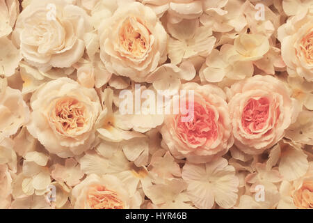 Blumen aus Stoff, befestigt auf Leinwand zarte Pastells sh Stockfoto