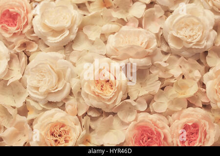 Blumen aus Stoff, befestigt auf Leinwand zarte Pastells sh Stockfoto