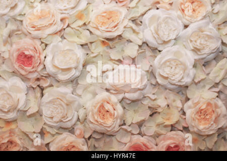 Blumen aus Stoff angebracht auf die Leinwand zarte Vergangenheit zu verwischen Stockfoto