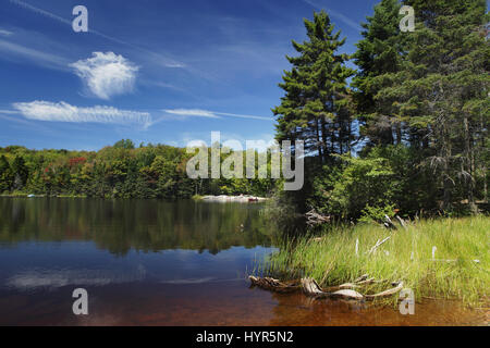 Adams Reservoir in Woodford State Park. Der Stausee befindet sich auf einem Plateau über die grünen Berge des südlichen Vermont. Stockfoto