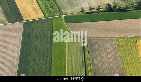 Frisch Gepflügtes und gesäten Ackerland von oben ordentlich in außerstädtischen Agrargebiet, Struktureffekt und Hintergrund kultiviert. Herstellung von Lebensmitteln in Stockfoto