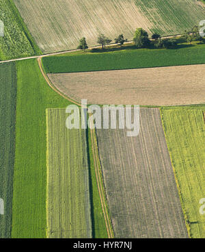 Frisch Gepflügtes und gesäten Ackerland von oben ordentlich in außerstädtischen Agrargebiet, Struktureffekt und Hintergrund kultiviert. Herstellung von Lebensmitteln in Stockfoto