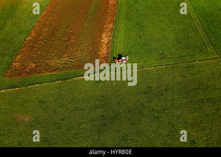 Traktor Mähen Weide auf großen Feld ordentlich landwirtschaftliche Anbaufläche in außerstädtischen Agrargebiet, Struktureffekt und Hintergrund, Luftbild Stockfoto