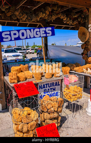 Natürliche Schwämme auf Verkauf in Tarpon Springs, Florida Stockfoto