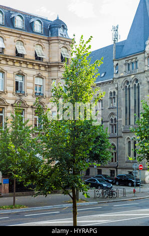 Junge Linden mit grünem Laub, wilhelminische Gebäuden, Neustadt, Straßburg, Elsass, Frankreich, Europa, Stockfoto