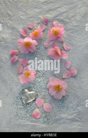 Silberherz, Glasscherben und rosa Camelia Blumen auf Seidenpapier Stockfoto
