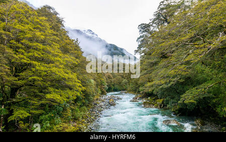 Hollyford River mit Bergen, Whakatipu Ka Tuka, Fjordland National Park, Te Anau, Southland Region Southland, Neuseeland Stockfoto