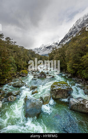 Hollyford Flusses mit schneebedeckten Bergen, Whakatipu Ka Tuka, Fjordland National Park, Te Anau, Southland Region Southland Stockfoto