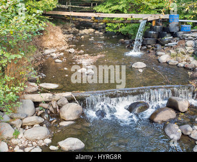 Karpaten kleinen Bergfluss im Herbst mit Felsen und handgemachte Brücke. Matekova Fluss, ukrainischen Karpaten, Transkarpatien, Mukachev Stockfoto