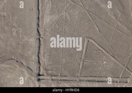 Peru, Linien von Nasca, Luftaufnahme, die Riesenspinne Stockfoto