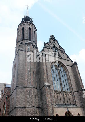 Fassade der Kathedrale St. Catherines (Sint Catharinakathedraal), neben dem Catharijne Kloster Museum für religiöse Kunst in Utrecht, Niederlande. Stockfoto