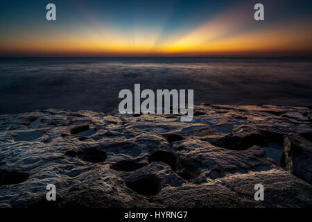 Washington Eichen Gardens State Park liegt südlich von St. Augustine in der Stadt von Palm Coast.  Das Anwesen war einst im Besitz ein entfernter Verwandter von George Washington.  Die Gärten, gelegen zwischen der Küste und den Fluss Mantanzas wurden von Louise und Owen Young gegründet. Stockfoto