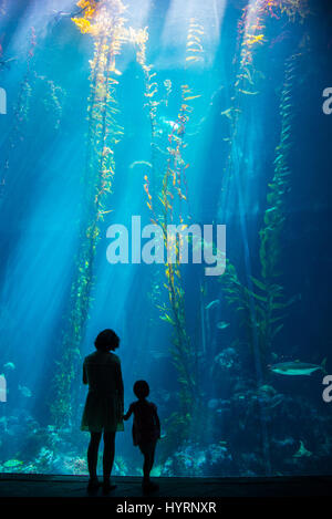 Mutter und Tochter stehen vor der Sea Kelp Wald Panzer im NMMBA Stockfoto