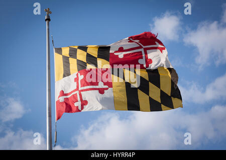 Maryland-Flagge flattern im wind Stockfoto