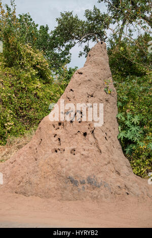 Termite Hügel (Isoptera). Namibia. Stockfoto