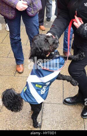 Ein Hund trägt einen SNP-Mantel vor der Ankunft der Nicola Sturgeon auf der SNP Edinburgh West Wahlkreis Kampagne hub Stockfoto