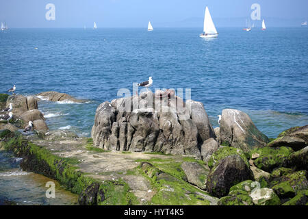 Wunderschöne Küste in Dalkey, Dublin, Irland Stockfoto