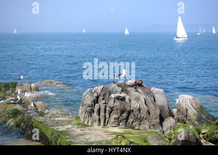 Wunderschöne Küste in Dalkey, Dublin, Irland Stockfoto