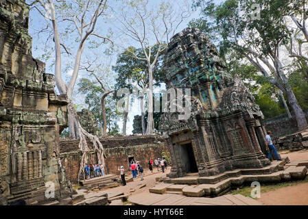 Horizontale Ansicht von Touristen im Tempel Ta Prohm in Kambodscha. Stockfoto